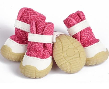 Shoes & Booties