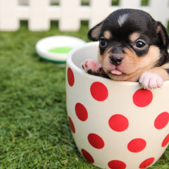Collection image for: Mugs