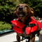 Life Jackets