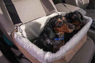 Car seats