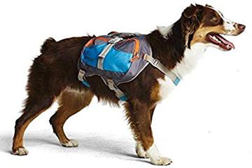 Backpacks