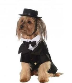 Formal Wear