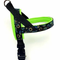Harness