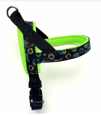 Harness