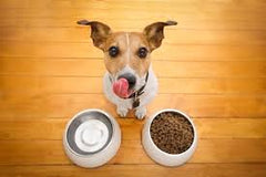 Collection image for: Nutrition & Health