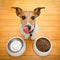 Nutrition & Health