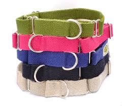 Collection image for: COLLARS