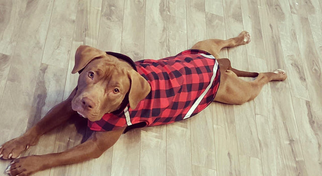 <h1>Sweaters & Vests for Every Adventure!</h1>
