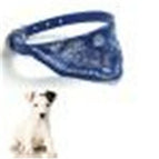 30cm length / Blue
