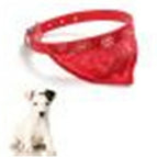 30cm length / Red