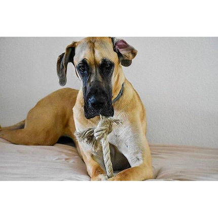 Double Knot Tug-a-Hemp Dog Rope Toy