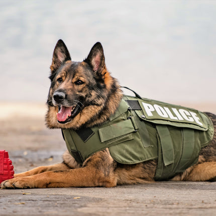 USA-K9 Grenade Durable Rubber Chew Toy & Treat Dispenser