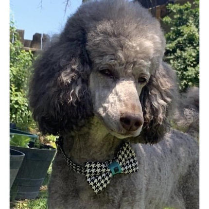 Turquoise Houndstooth Collar & Bow Tie Set