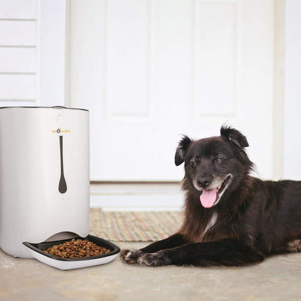 Automatic Pet Feeder Food Dispenser