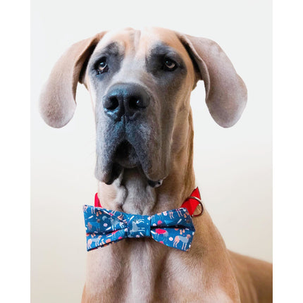 You're a Catch - Dog Bow Tie