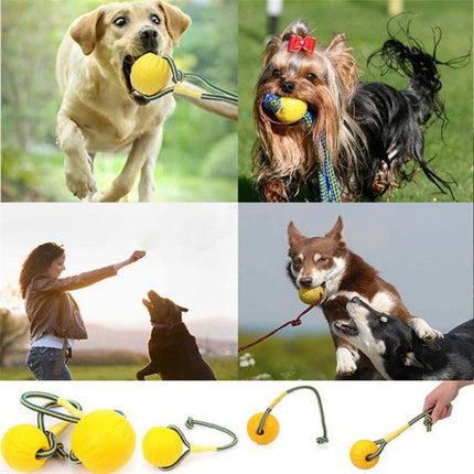 Dog Training Toy Ball Indestructible 7/9CM