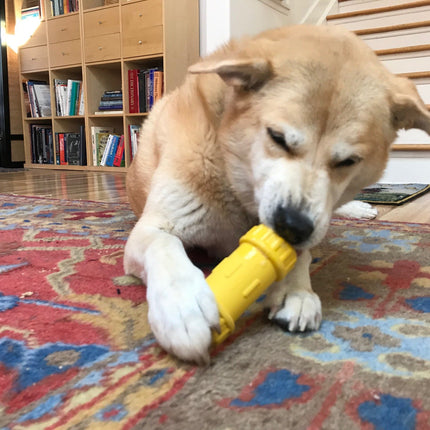 Compression Joint Durable Rubber Chew Toy & Treat Dispenser