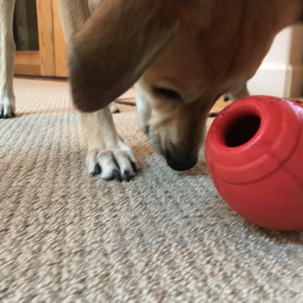 MKB Football Durable Rubber Chew Toy and Treat Dispenser