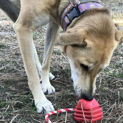 MKB Heart on a String Ultra-Durable Durable Rubber Chew Toy