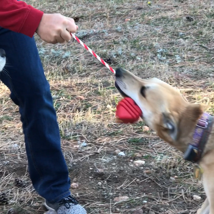 MKB Heart on a String Ultra-Durable Durable Rubber Chew Toy