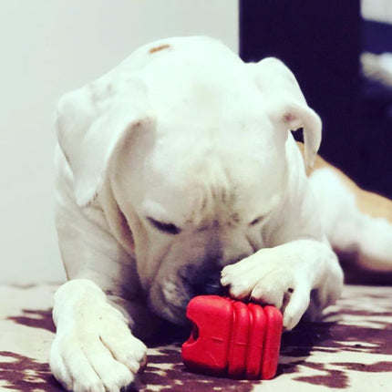 MKB Heart on a String Ultra-Durable Durable Rubber Chew Toy