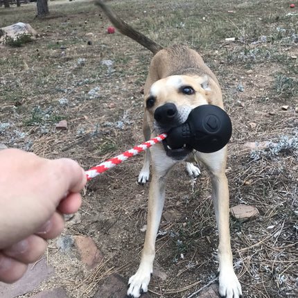 USA-K9 Magnum Skull Durable Rubber Chew Toy & Treat Dispenser