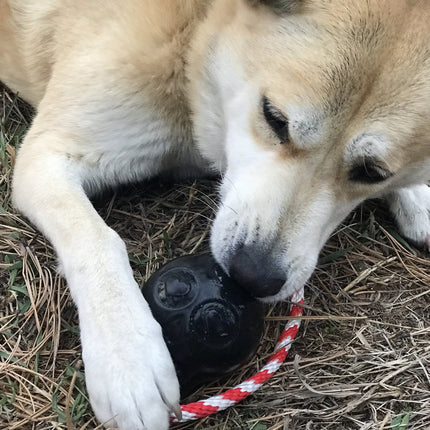USA-K9 Magnum Skull Durable Rubber Chew Toy & Treat Dispenser