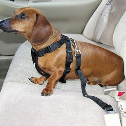 Adjustable Dog Seat Belt