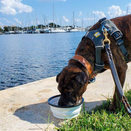Luxe Pup® Collapsible Silicone Travel Bowl Set (33oz)