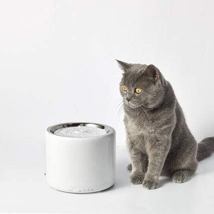 Instachew PETKIT Eversweet Smart Pet Water Fountain Gen 3.0