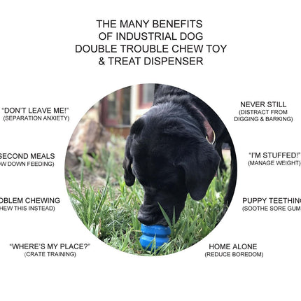 Double Trouble Durable Rubber Chew Toy & Treat Dispenser
