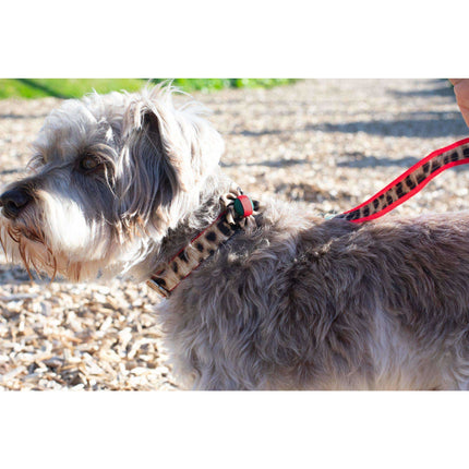 Anubis Leopard Dog Leash