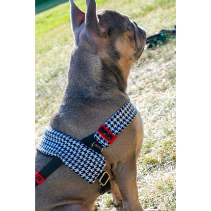 Xolotl Pied De Poule Dog Harness