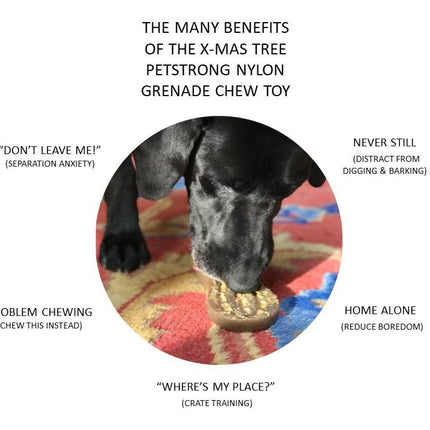 Peanut Ultra Durable Nylon Dog Chew Toy