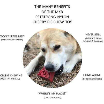 Cherry Pie Ultra Durable Nylon Chew Toy