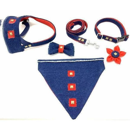 Frayed Denim & Red Dog Leash With Bronze Studs