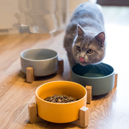 Ceramic Pet Food Bowl