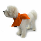 XS / Orange