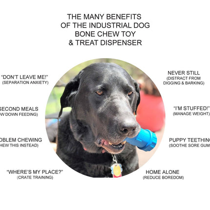Compression Joint Durable Rubber Chew Toy & Treat Dispenser