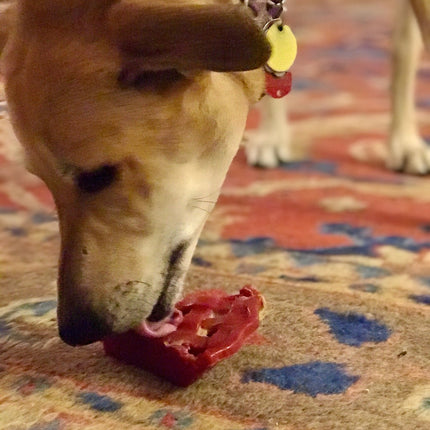 Cherry Pie Ultra Durable Nylon Chew Toy