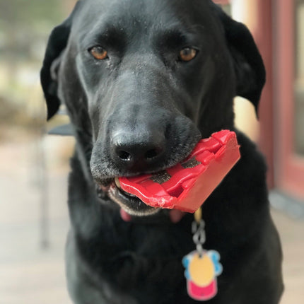 Cherry Pie Ultra Durable Nylon Chew Toy