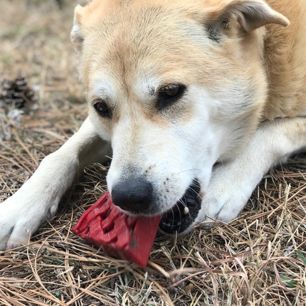 Cherry Pie Ultra Durable Nylon Chew Toy