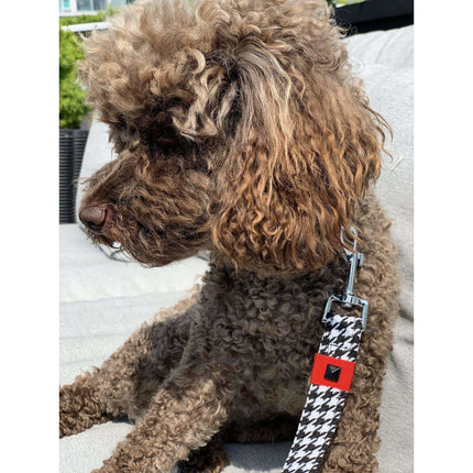 Xolotl Pied De Poule Dog Leash