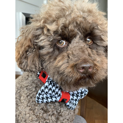 Red Leather Houndstooth Collar Bow Tie Set