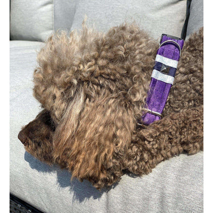 Fenrir Purple Satin Leopard Animal Print Dog Collar