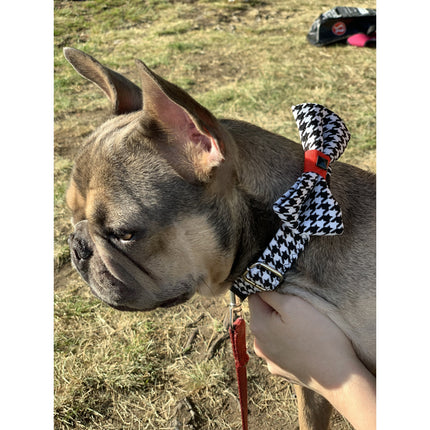 Red Leather Houndstooth Collar Bow Tie Set