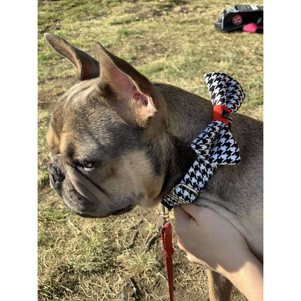 Xolotl Houndstooth Dog Collar