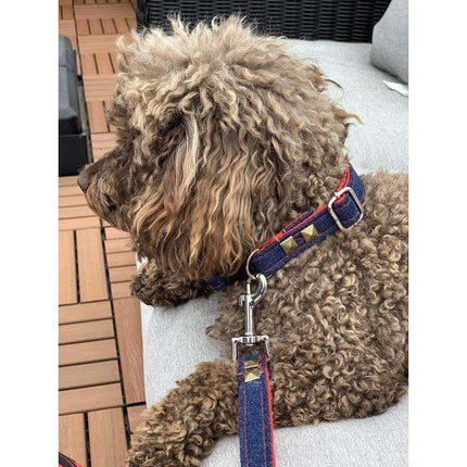 Frayed Denim & Red Dog Leash With Bronze Studs