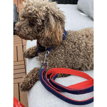 Frayed Denim & Red Dog Leash With Bronze Studs