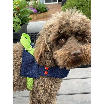 Navy Denim & Neon Easy Wear, No Chock Dog Harness